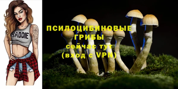дмт Баксан