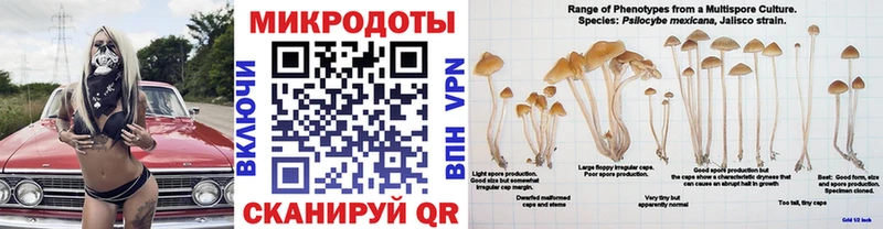 даркнет сайт ОМГ ОМГ сайт Галлюциногенные грибы Psilocybe Валдай